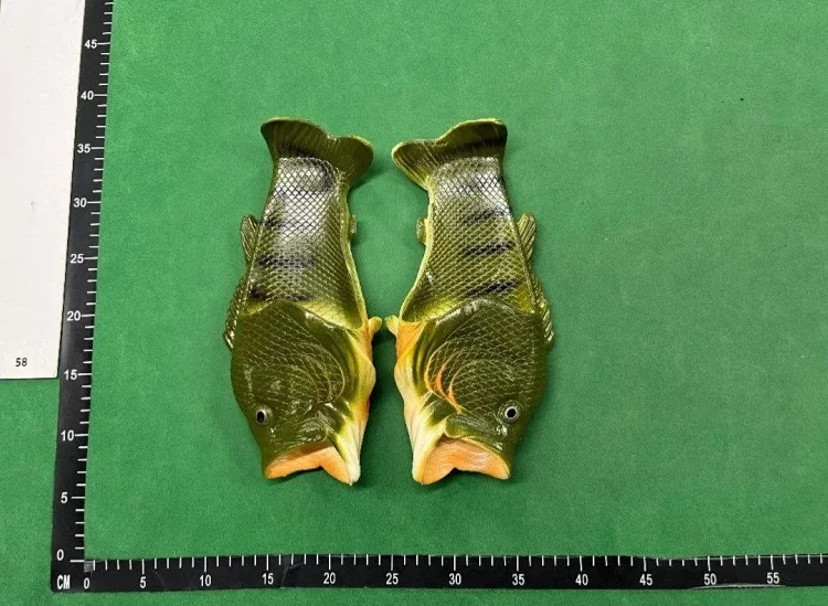  FISH SLIDES