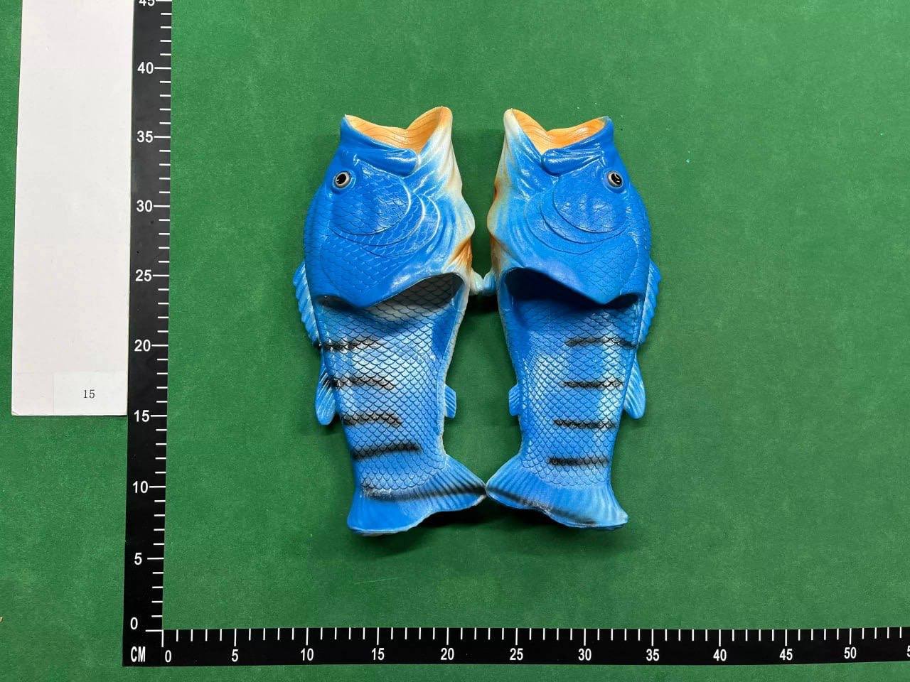  FISH SLIDES