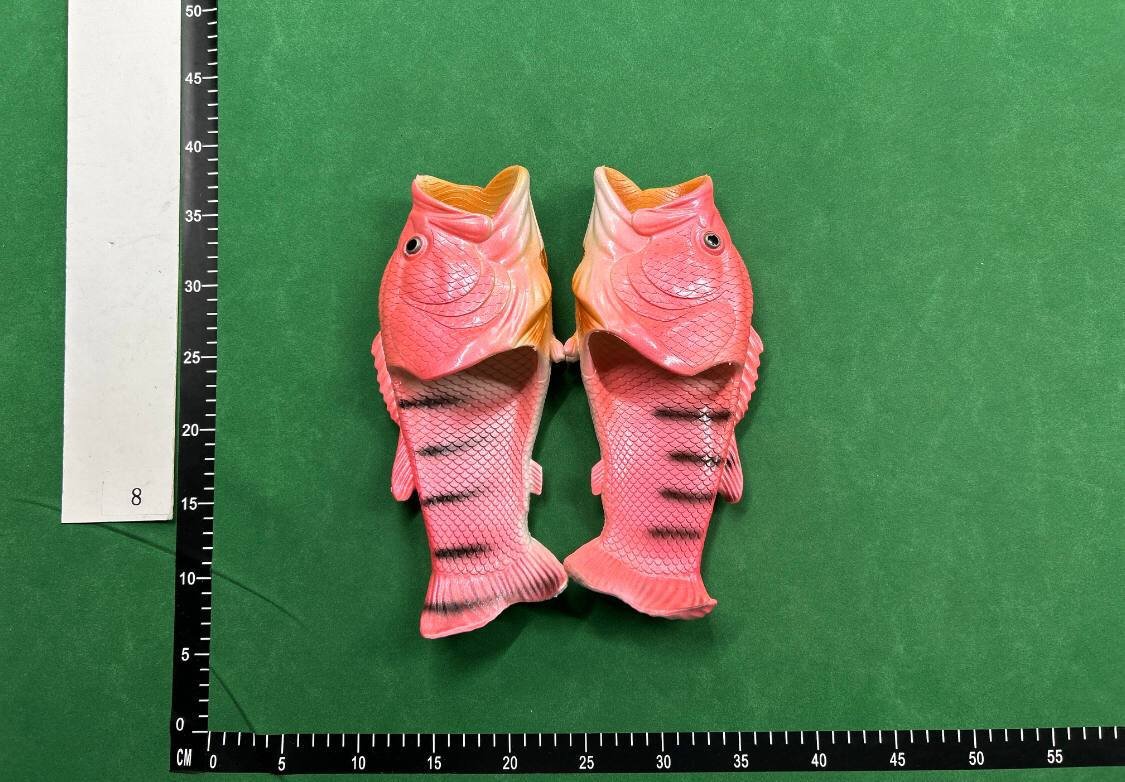  FISH SLIDES