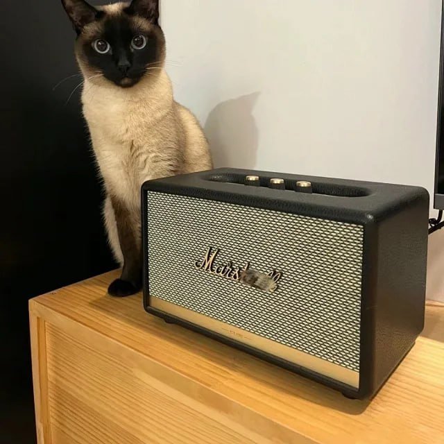 Marshall Audio