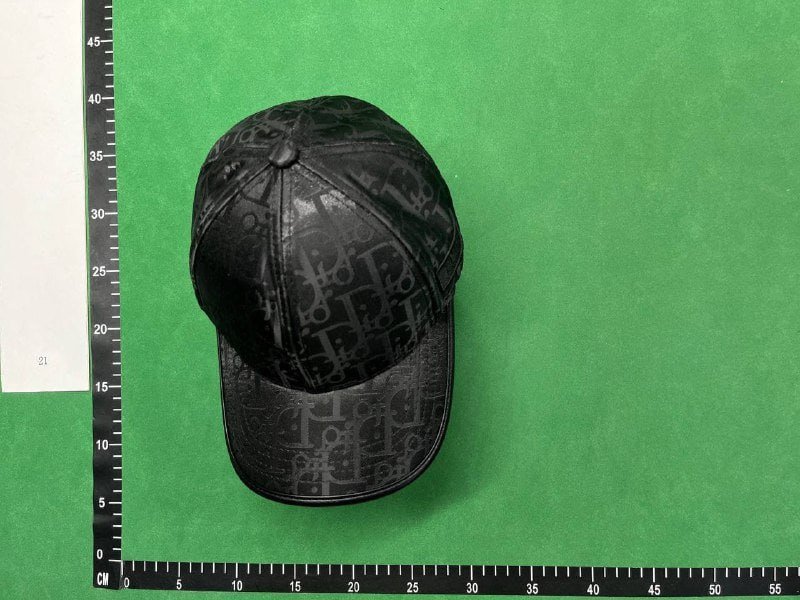  Dior cap   (40 CP)