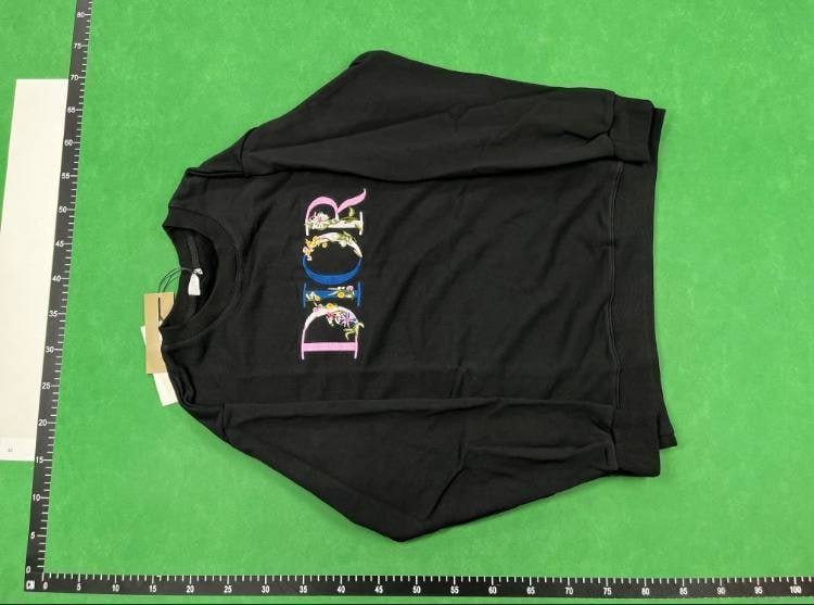 Dior sweatshirt    (30 CP)