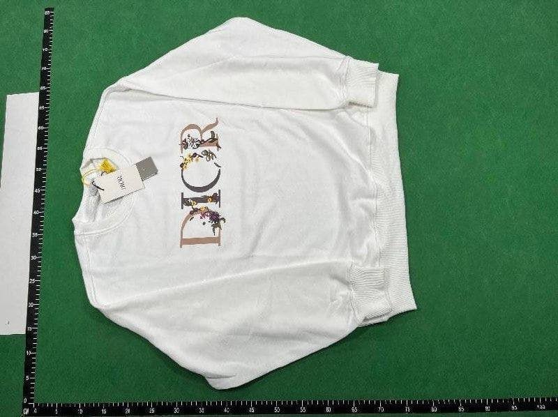 Dior sweatshirt    (30 CP)