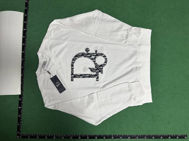 Dior sweatshirt    (30 CP)