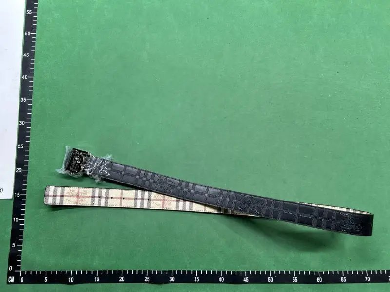  Burberry Belt（15+ Styles）