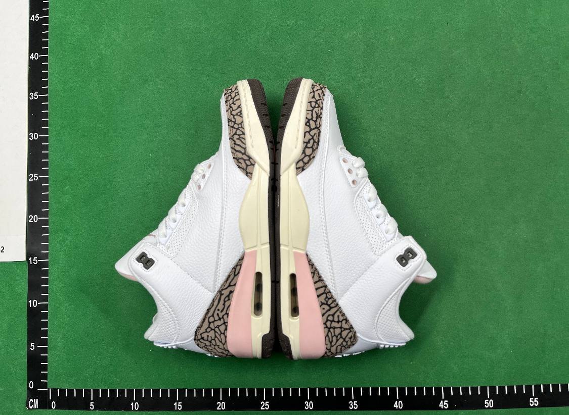 Jordan 3 shoes