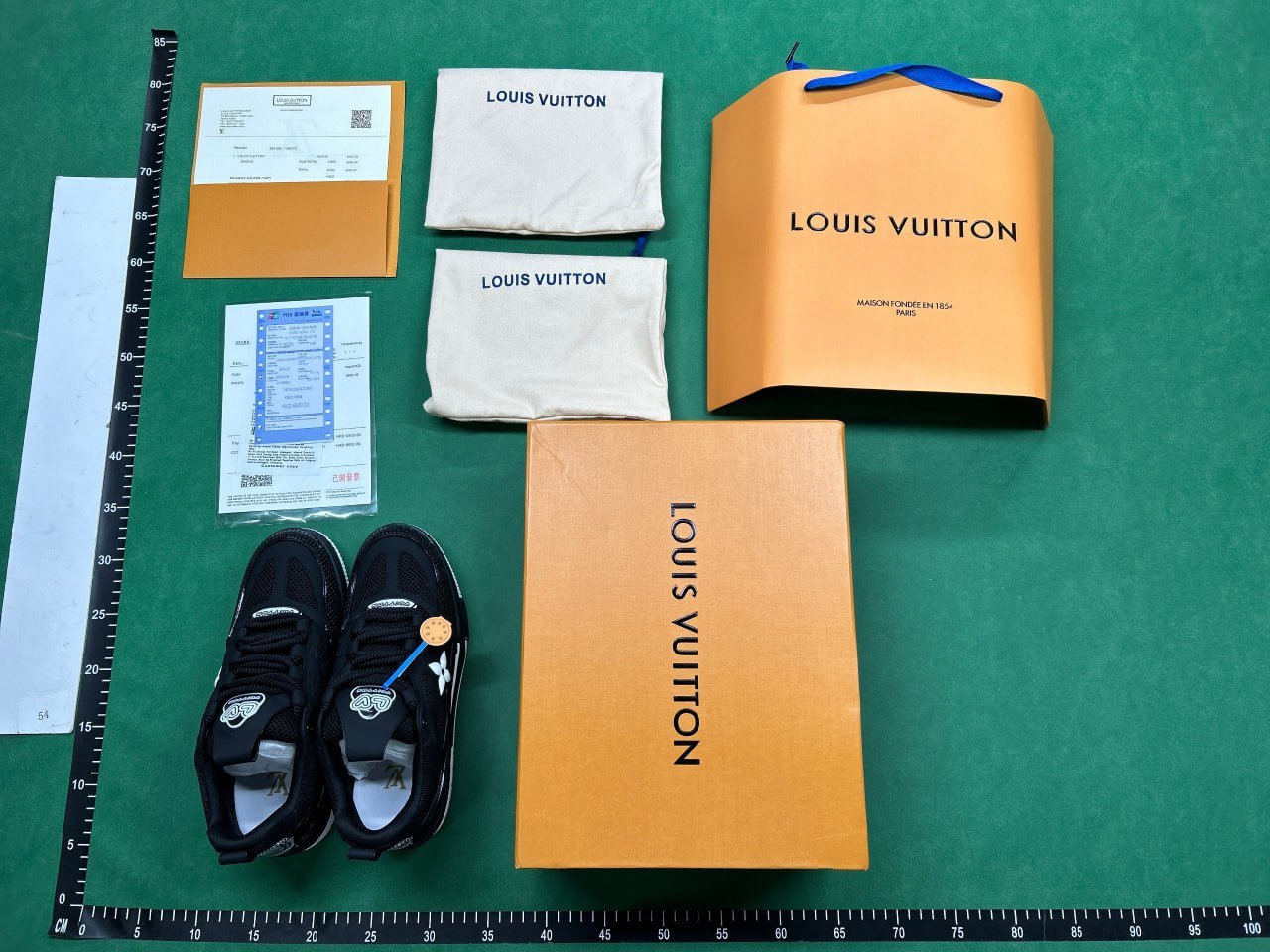 LOUIS VUITTON SKATE