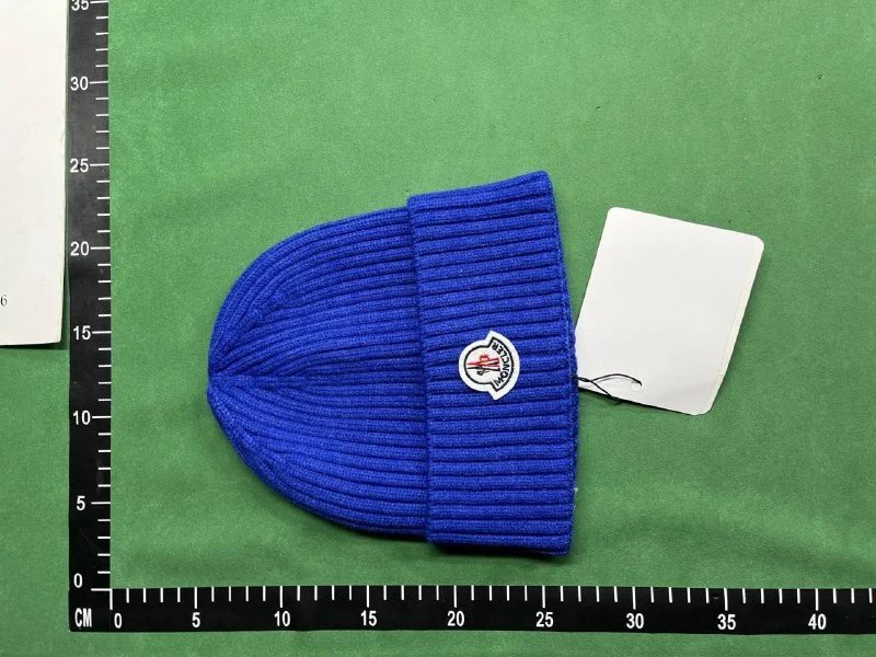 Moncler Beanie（39+ Styles