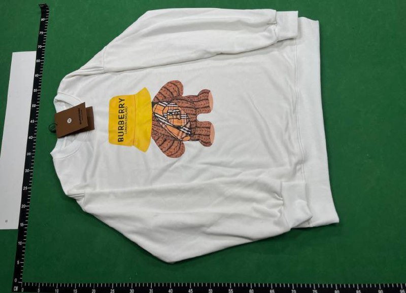  Burberry hoodie (40 styles TOP)