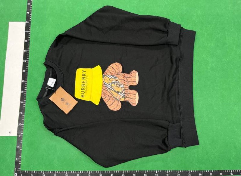  Burberry hoodie (40 styles TOP)