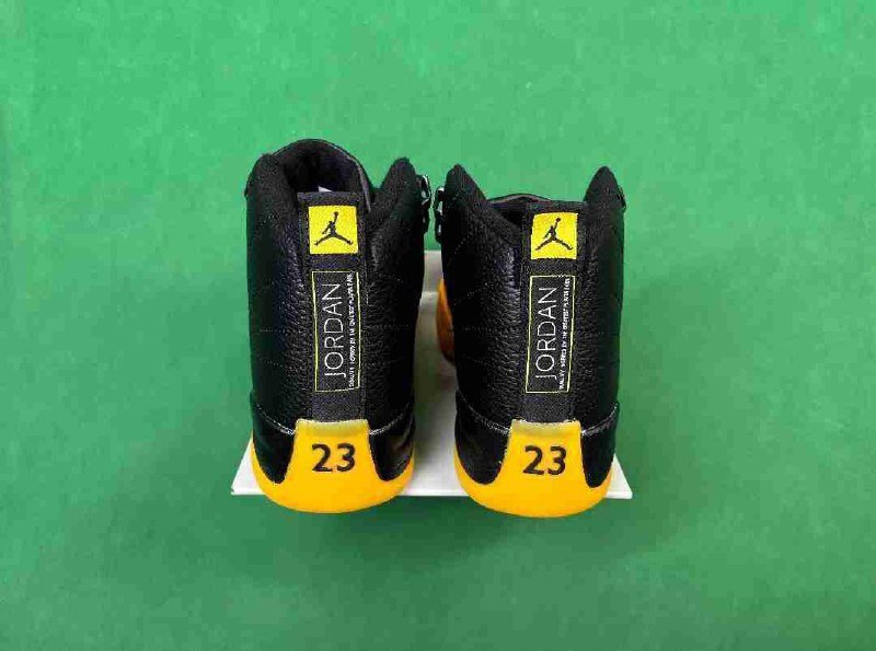 jordan 12 [25 Colors]