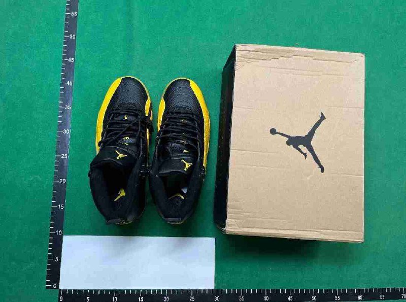 jordan 12 [25 Colors]