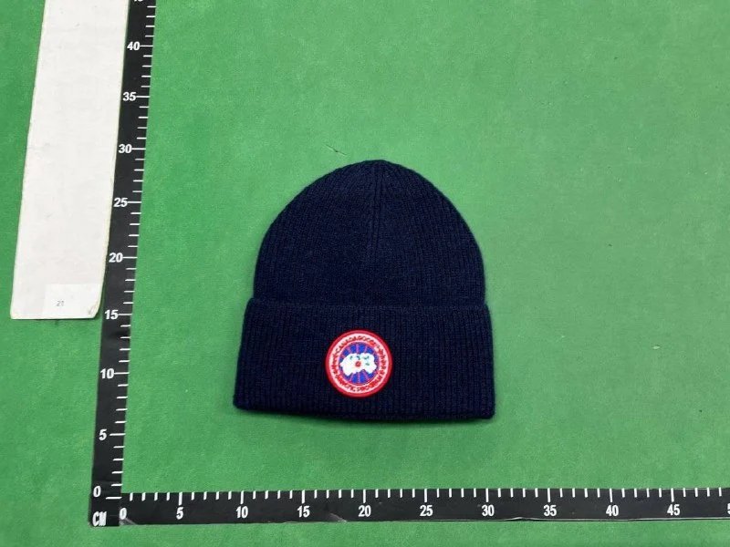 Canada Goose/DSQ2 Beanie（38+ Styles