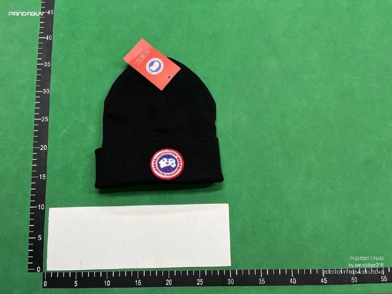 Canada Goose/DSQ2 Beanie（38+ Styles