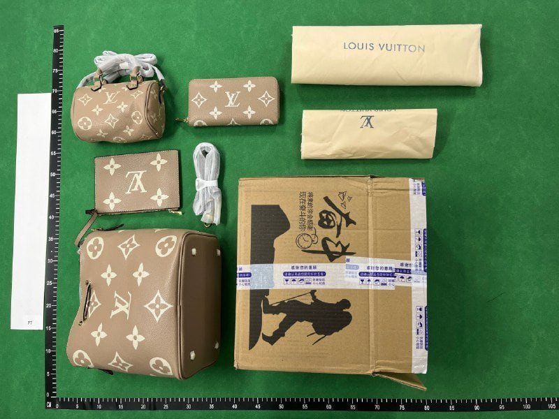 Louis Vuitton LV fashion bag