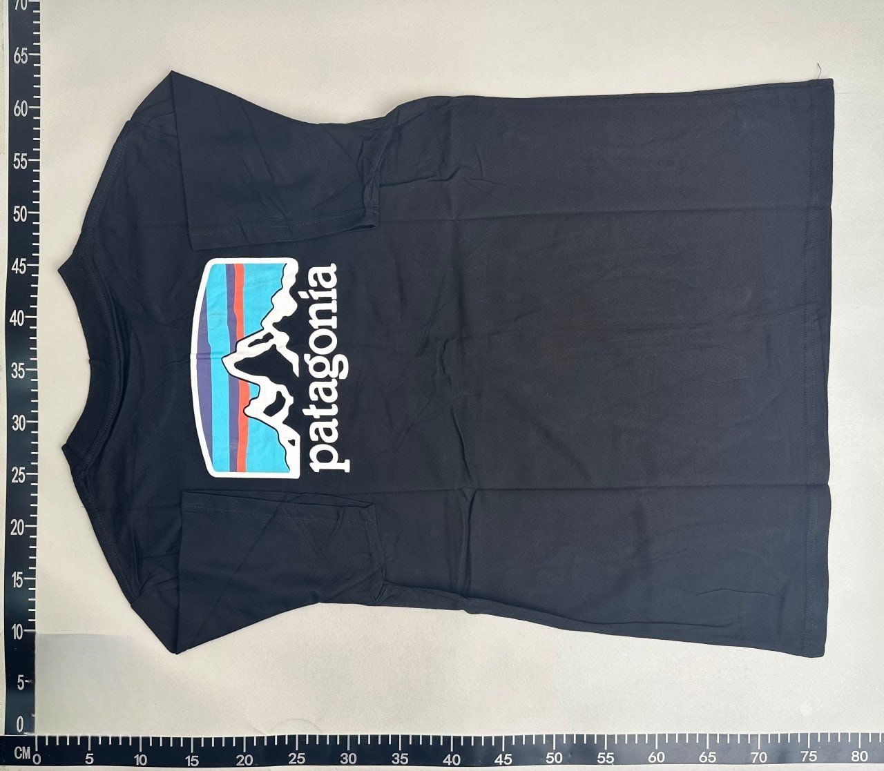 Patagonia T-shirt